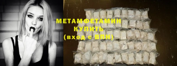 ГАЛЛЮЦИНОГЕННЫЕ ГРИБЫ Бородино