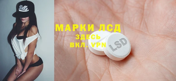 ГАЛЛЮЦИНОГЕННЫЕ ГРИБЫ Бородино