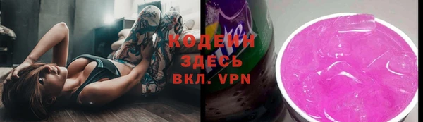 ГАЛЛЮЦИНОГЕННЫЕ ГРИБЫ Бородино