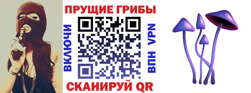 Галлюциногенные грибы Cubensis  Болотное 